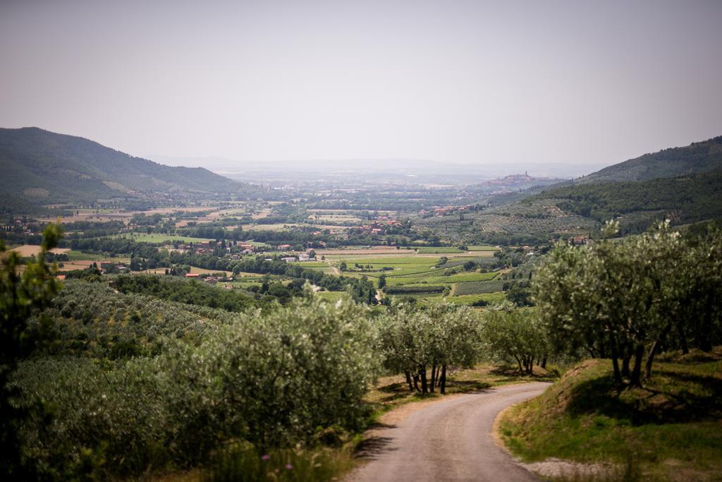Ferienwohnung Borgo Al Teto La Vite Castiglion Fiorentino Exterior foto