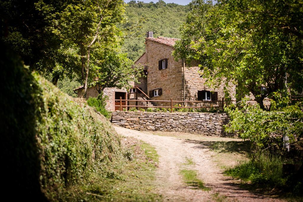 Ferienwohnung Borgo Al Teto La Vite Castiglion Fiorentino Exterior foto