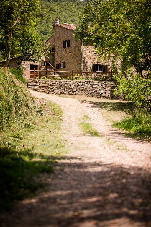 Ferienwohnung Borgo Al Teto La Vite Castiglion Fiorentino Exterior foto