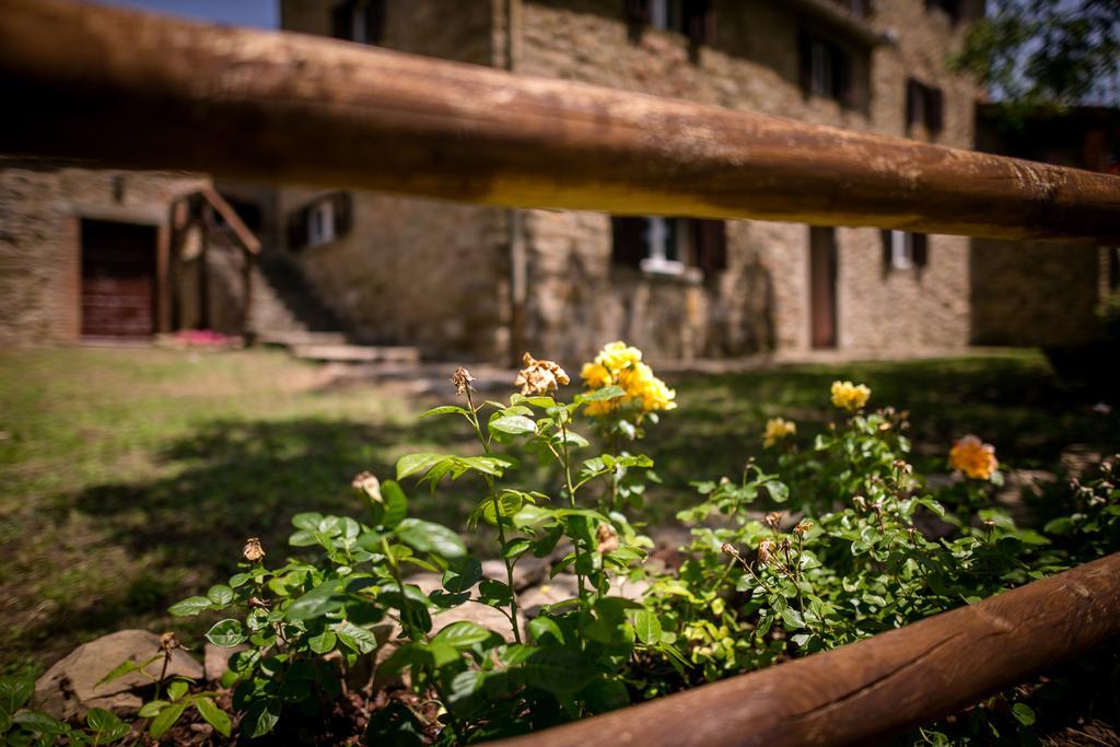 Ferienwohnung Borgo Al Teto La Vite Castiglion Fiorentino Exterior foto