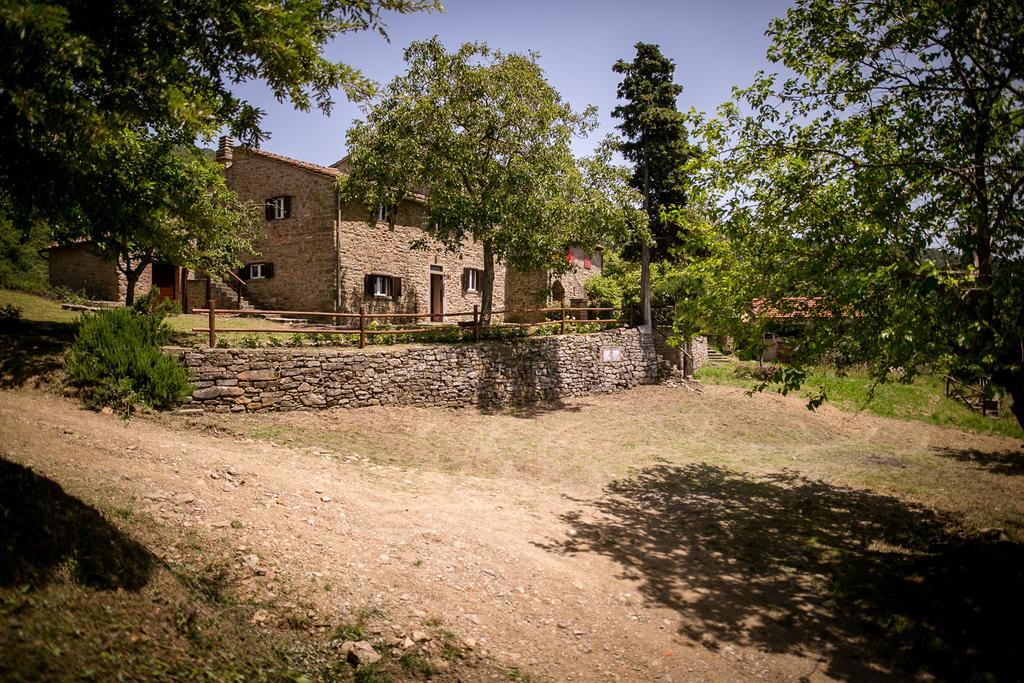Ferienwohnung Borgo Al Teto La Vite Castiglion Fiorentino Exterior foto