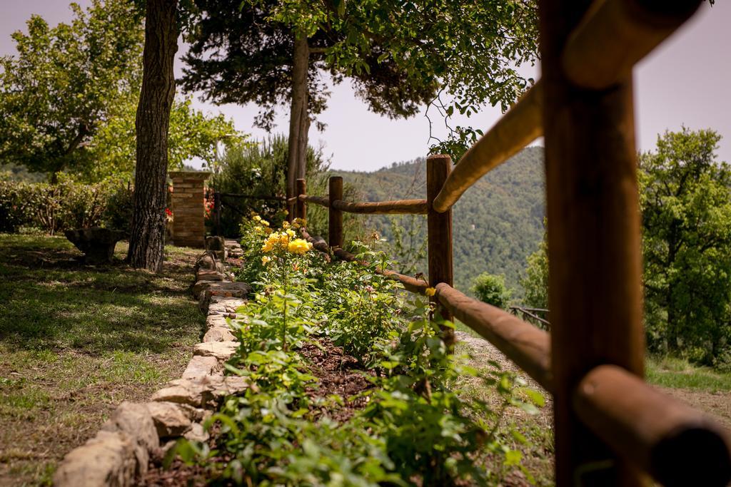 Ferienwohnung Borgo Al Teto La Vite Castiglion Fiorentino Exterior foto