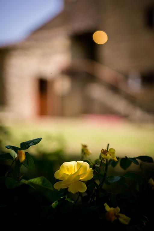 Ferienwohnung Borgo Al Teto La Vite Castiglion Fiorentino Exterior foto
